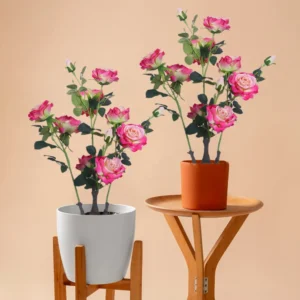 2Pcs Artificial Peony Trees Faux Peony Tree Artificial Peony Flower Tree in Pot Fake Plant for Office Home Kitchen Decor 70cm