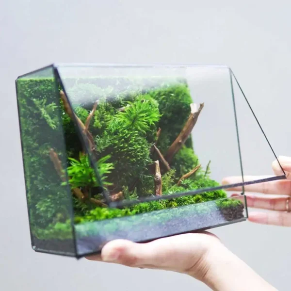 Miniature Tree Decoration DIY Simulated Fake Plant Handmade Landscape Ornament Decorative Supply Bedroom Outdoor Hotel - Image 5