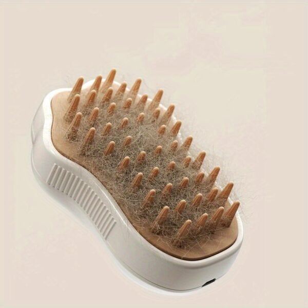3-in-1 Pet Brush: Electric Steam Brush, Comb, and Massage Tool for Cats and Dogs - USB Charging, 36V or Less Voltage, Silicone Brush Heads - Image 4