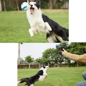 Easy To Clean Dog Toy Safe And Durable Rubber Ball For Stress-Free Maintenance Large Dog Toys volleyball