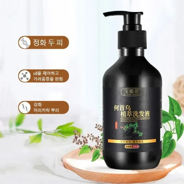 Herbal Polygonum Multiflorum Shampoo Oil Control, Dandruff Control, Itchy Relief Shampoo for Women Hair Essential Oil Hair Care - Image 4
