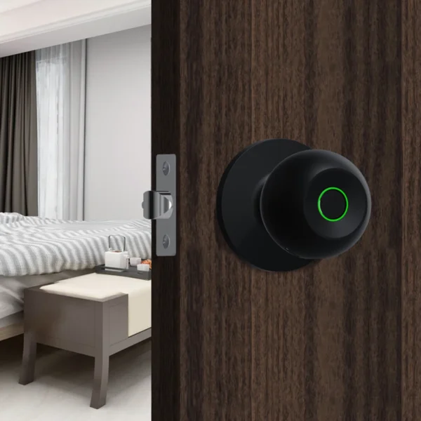 Smart Lock Fingerprint Door Knob Rechargeable Electronic Door Lock with Keys TUYA App Control for Bedrooms Cloakroom - Image 2