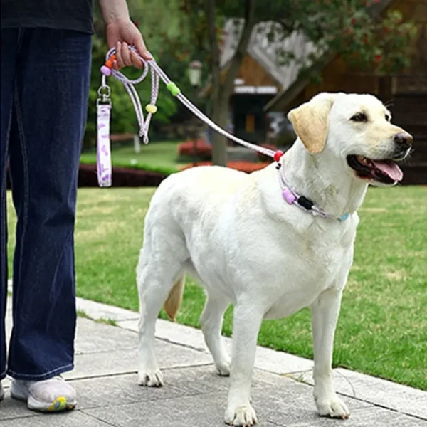 Adjustable Dog Harness and Leash Anti-Pull Nylon Dog Collar Leash Comfortable Reflective P Chain Leash Outdoor Walking - Image 4