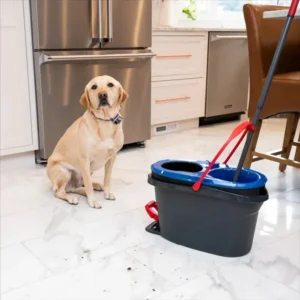 Spin Mop and Bucket