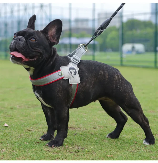 Y Shape Dog Harness No Pull Adjustable Reflective Pet Vest, Soft Padding Chest Support for Small Medium Large Dogs, Easy Walk Ou - Image 6