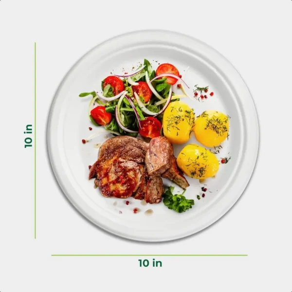 Paper Plates Disposable 10" Plate Biodegradable Sugarcane Fiber Dinner Plates Heavy Duty Dinnerware for Hot Food Microwave and - Image 2