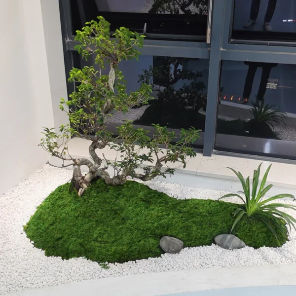 1pc fake plants home decor Simulated moss turf biomimetic artificial moss micro landscape layout ornaments lawn bonsai - Image 3