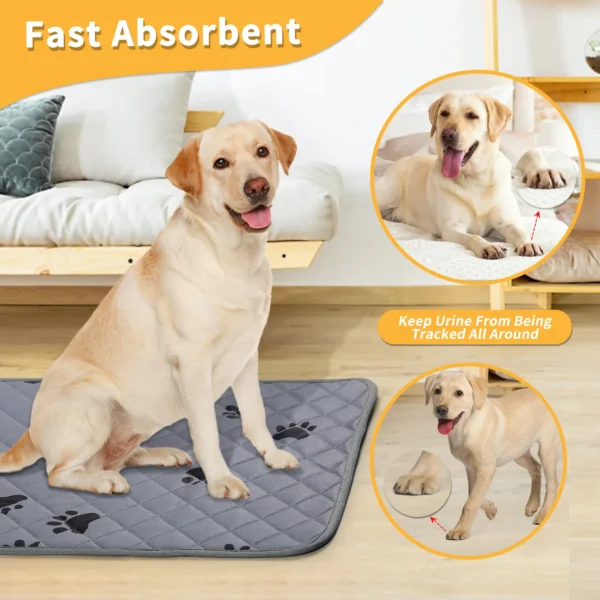 Pet urine pad is washable, easy to dry, and instantly absorbs water. Cat training pad, absorbent pad, dog urine pad - Image 3