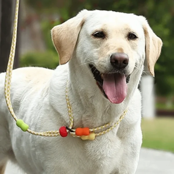 Adjustable Dog Harness and Leash Anti-Pull Nylon Dog Collar Leash Comfortable Reflective P Chain Leash Outdoor Walking - Image 3
