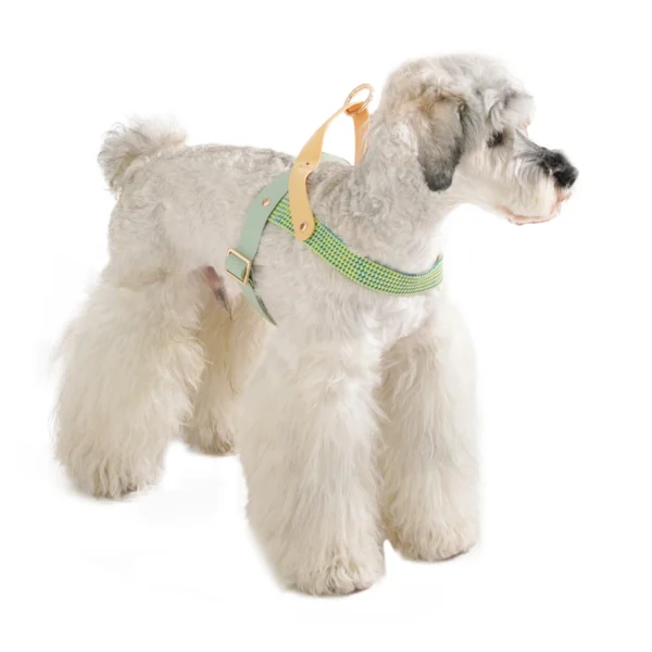 Medium and Small Dogs Harnesses No Pull Breathable Pet Harness Leash Set French Bulldog Chihuahua Poodle Adjustable Chest Vest - Image 2