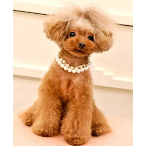 Exquisite pearl pet necklace suitable for cats and dogs - Image 4
