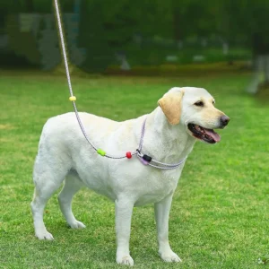 Adjustable Dog Harness and Leash Anti-Pull Nylon Dog Collar Leash Comfortable Reflective P Chain Leash Outdoor Walking