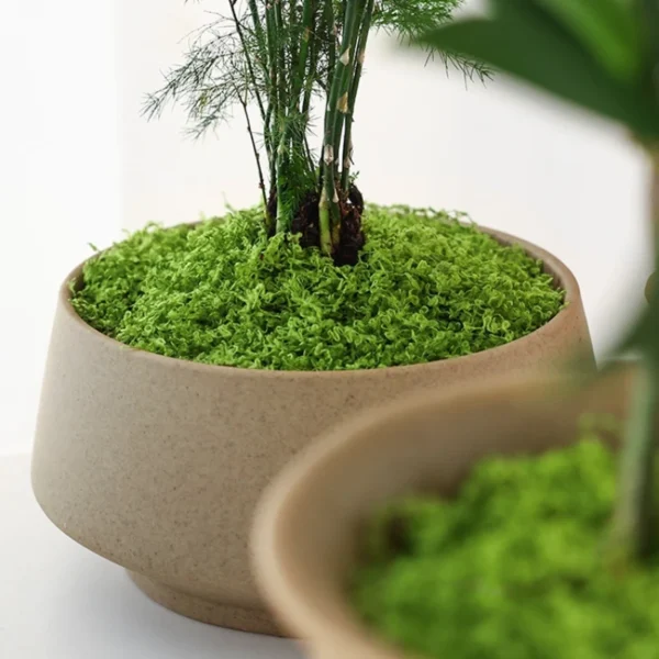 1pc fake plants home decor Simulated moss turf biomimetic artificial moss micro landscape layout ornaments lawn bonsai - Image 4