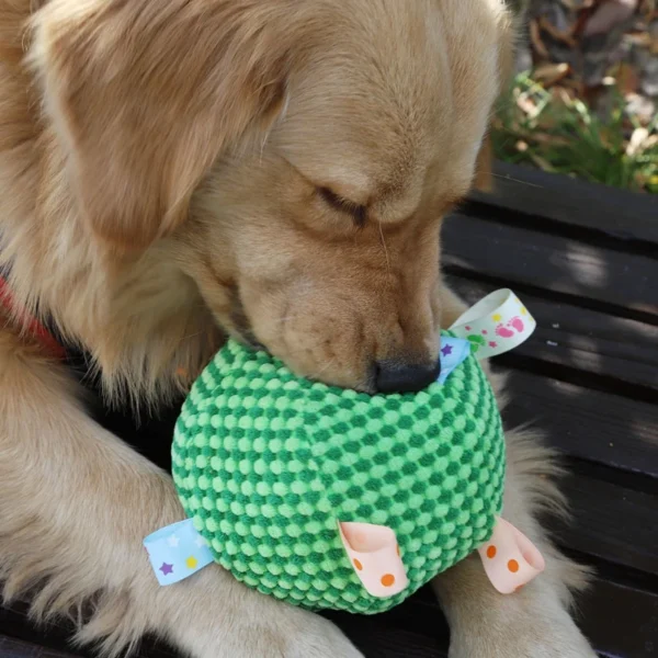 Dog Ball Toy Interactive Bell Training Woven Puppy Toy Toothbrush Chew Plush Dog Toy Pet Accessories - Image 3