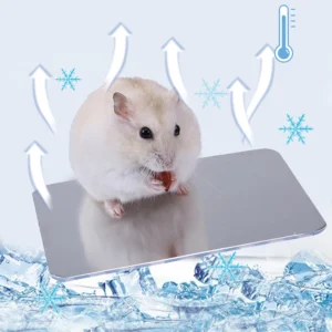 Pet Cooling Board Hamster Cooling Ice-pad Rabbit Golden Bear Heat Dissipation Board Aluminum plate Cool Mat Summer Cool supplies