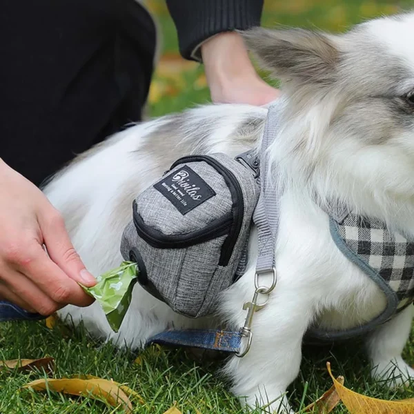 Pet Dog Training Treat Bag Portable Outdoor Dog Treat Pouch Puppy Snack Reward Waist Bag Dog Poop Bag Dispenser Pet Accessories - Image 3