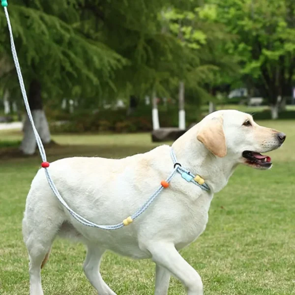 Adjustable Dog Harness and Leash Anti-Pull Nylon Dog Collar Leash Comfortable Reflective P Chain Leash Outdoor Walking - Image 2