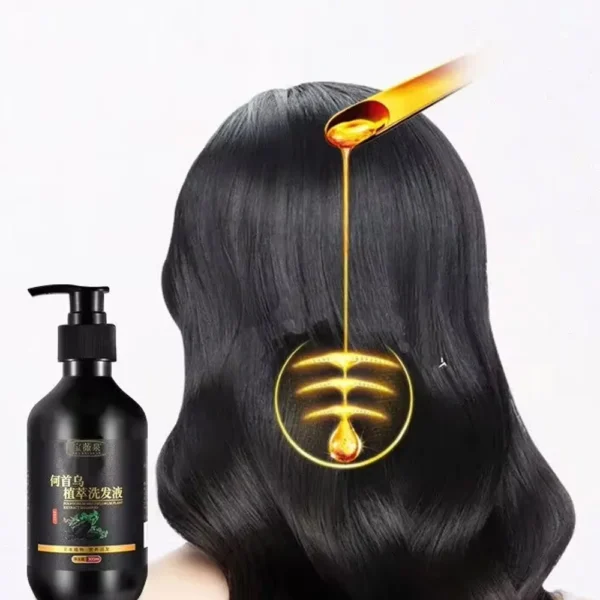 Herbal Polygonum Multiflorum Shampoo Oil Control, Dandruff Control, Itchy Relief Shampoo for Women Hair Essential Oil Hair Care - Image 6