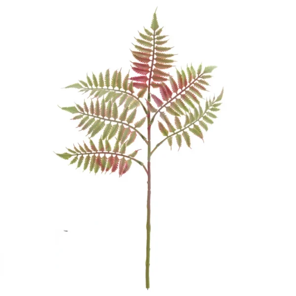 Artificial Fern Leaf Plants Fake Flower Plastic Phoenix Tail Fern Leaves Branch Simulation Green Plant Holiday Party Decoration - Image 10