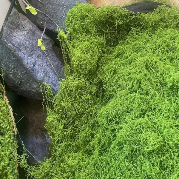 50g Fake Moss DIY Crafts Grass Artificial Moss Faux Preserved Moss Green Plants Home Room Garden Decor Mini Landscape Fake Grass - Image 3