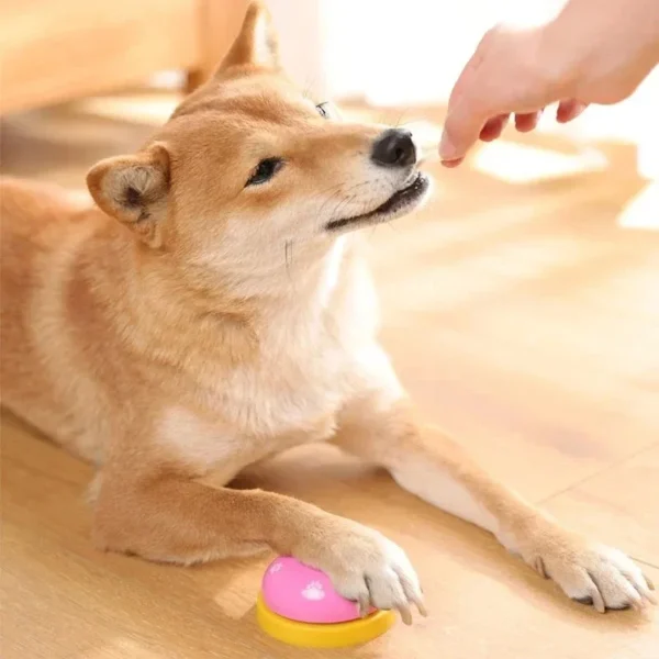 Dogs Training Bells Cat Meal Bell Puppy Feeding Call Bell Child Hand Ability Training Interactive Cats Toy Pet Training Button - Image 3