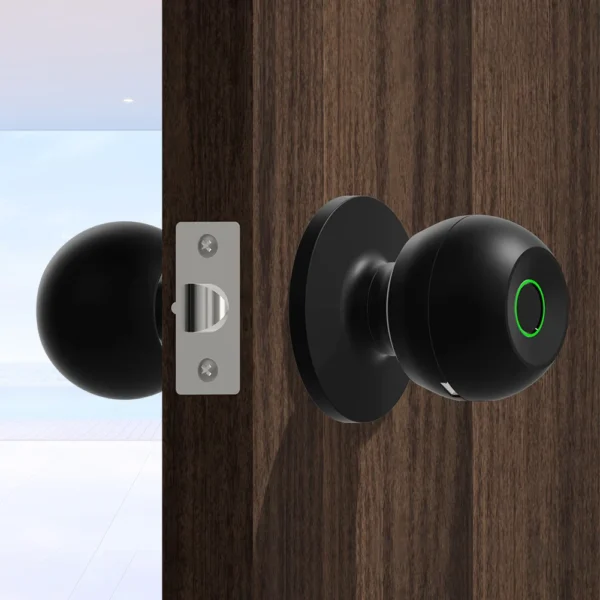 Smart Lock Fingerprint Door Knob Rechargeable Electronic Door Lock with Keys TUYA App Control for Bedrooms Cloakroom - Image 4