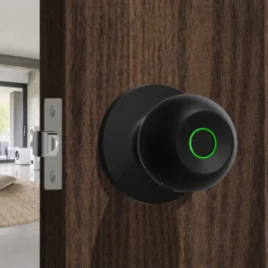 Smart Lock Fingerprint Door Knob Rechargeable Electronic Door Lock with Keys TUYA App Control for Bedrooms Cloakroom