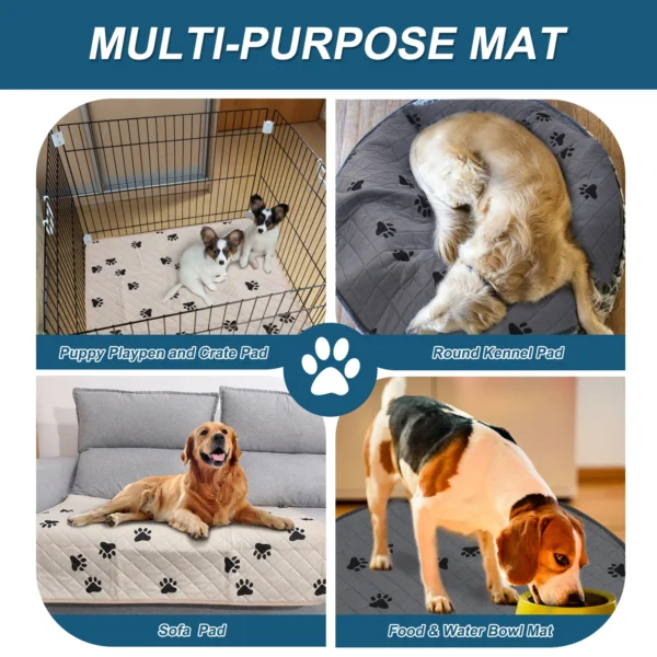 Pet urine pad is washable, easy to dry, and instantly absorbs water. Cat training pad, absorbent pad, dog urine pad - Image 4