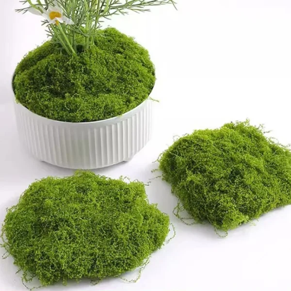 50g Fake Moss DIY Crafts Grass Artificial Moss Faux Preserved Moss Green Plants Home Room Garden Decor Mini Landscape Fake Grass - Image 4