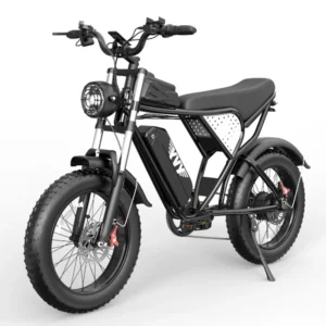 US Free Shipping 20*4.0 Inch Fat Tire 48V 20Ah Ebike E Bike Electric Bicycle Lithium Battery Electric Mountain Dirt Bike Adults