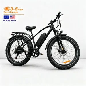 US Warehouse 750W Removable Battery Electric Mountain Bike Fat Tire Free Shipping CE UL Adult Electric Bike Fat Tire Ebike