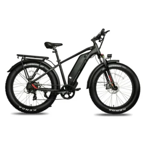 EZREAL 48V 750W Rear Motor Commuter Electric Bike with Fat Tires 7 Days US Stock Delivery Ebike for Adults