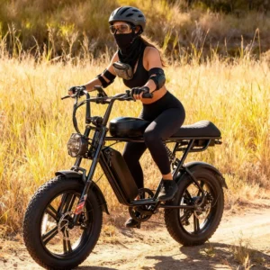 USA EU Warehouse 20 Inches Fat Tire Powerful Ebike for Adults 48V 750W Electric Fatbike Full Suspension Hybrid Electric Bike