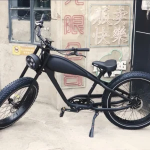 USA Warehouse Hybrid Electric Bicycle Retro Style E-Bike 48v Lithium Battery Road Dirt City Suitable 48v Ebike Mountain Fat Tire