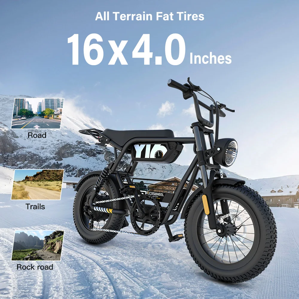 Coswheel Y16 Electric Bike 1000w Power Bike China Factory Supplies Us Eu Warehouse Fat Tire E-Bike Fatbike 25km/h Ebike - Image 6