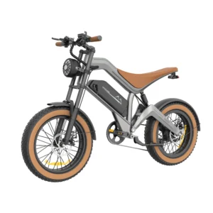 750W Rear Hub Motor Electric Bike with Full Suspension Fast Road Dirt-Fat Tire Integrated 48V Lithium Battery Ebike