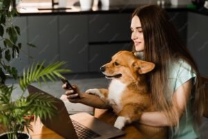 best online pets shop in Boston