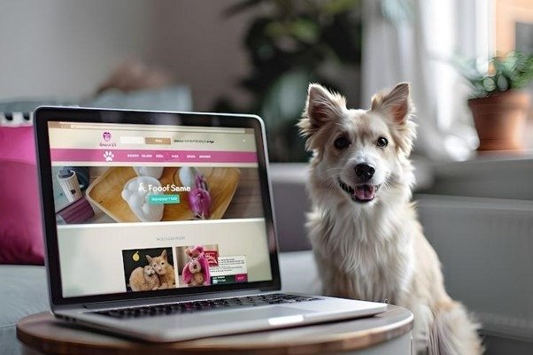 best online pets shop in Boston